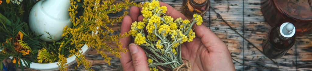 Gyógynövény alapú készítmények